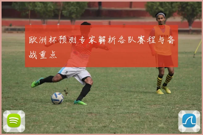 欧洲杯预测专家解析各队赛程与备战重点
