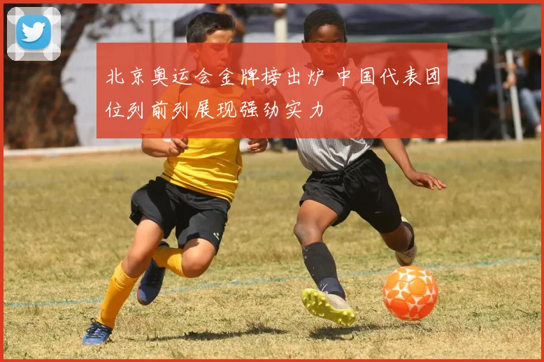 北京奥运会金牌榜出炉 中国代表团位列前列展现强劲实力