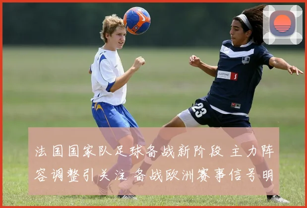法国国家队足球备战新阶段 主力阵容调整引关注 备战欧洲赛事信号明显