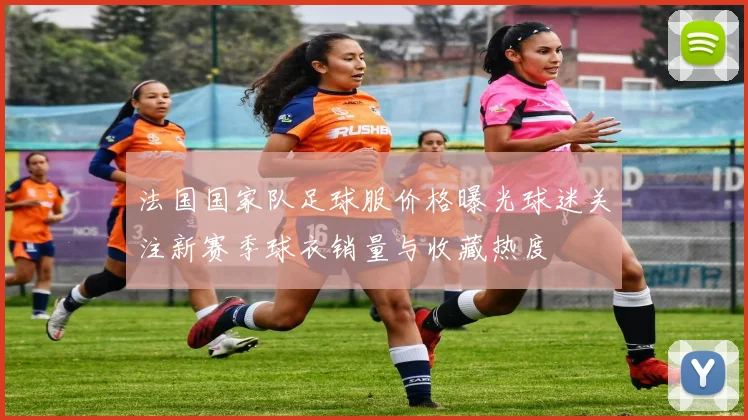 法国国家队足球服价格曝光球迷关注新赛季球衣销量与收藏热度